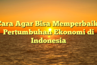 Cara Agar Bisa Memperbaiki Pertumbuhan Ekonomi di Indonesia